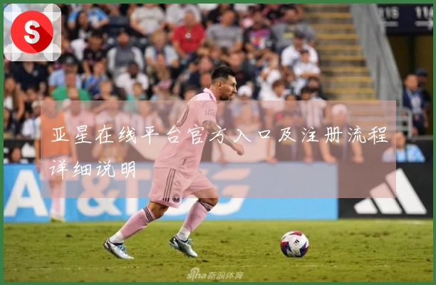 亚星在线平台官方入口及注册流程详细说明