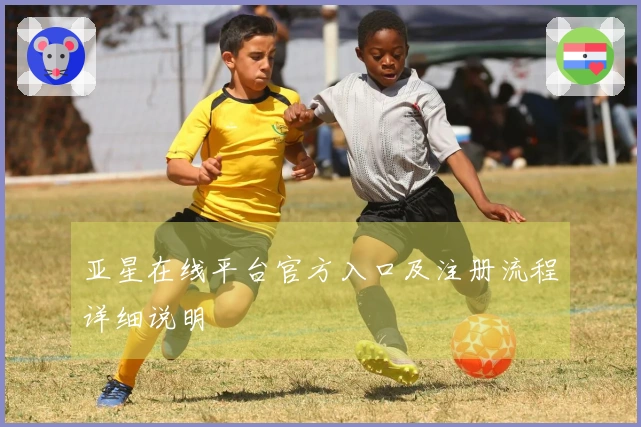亚星在线平台官方入口及注册流程详细说明